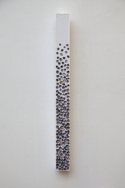 shells stick 1 - 70x6x3 cm - 2025