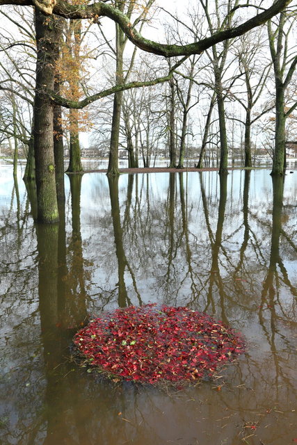 deventer worp park cirkel
