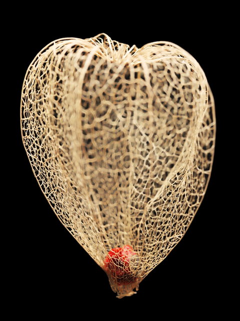 een nieuw begin 2022