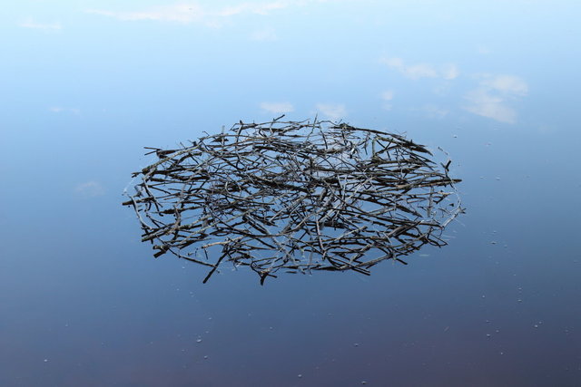 le lac du Morvan - France - 2020