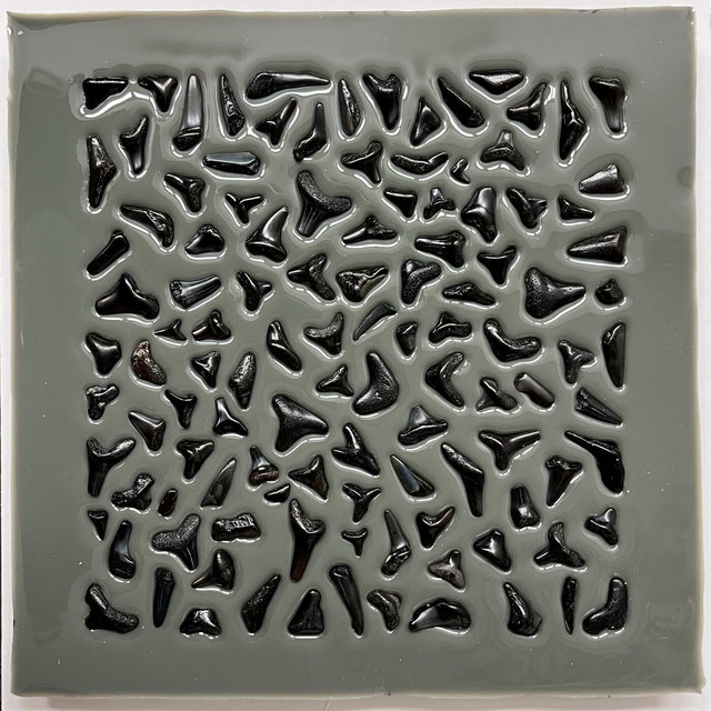 jawsart - preserving sharkteeth 1