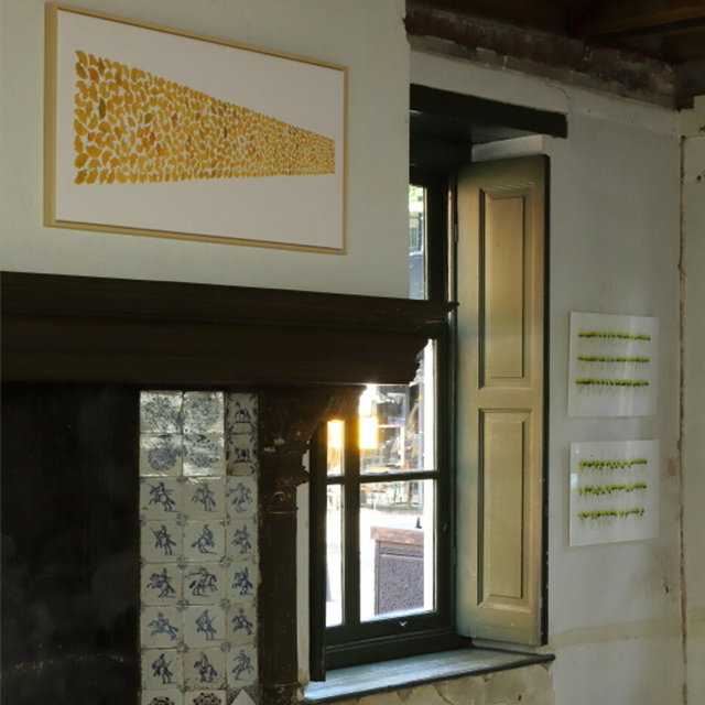 expositie 2022 visualsbynature - drie haringen deventer