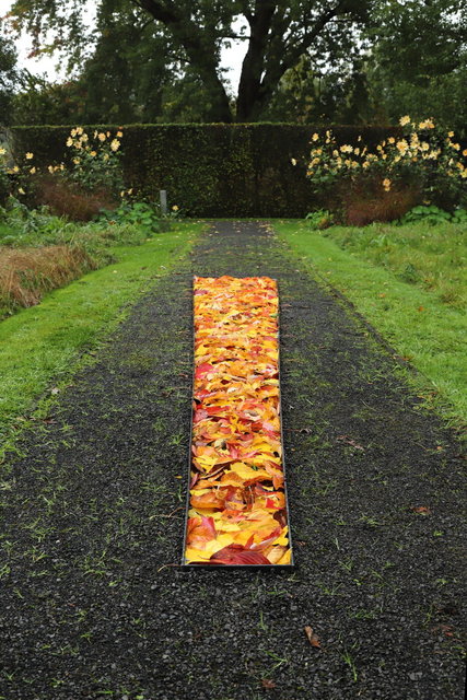 tuinen van mien ruys - herfstlijn