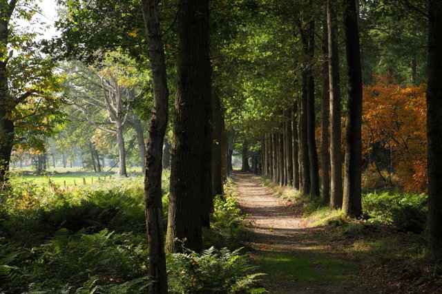 heino de colkhof - waanders uitgevers