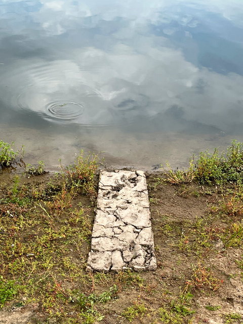mudline with footprints