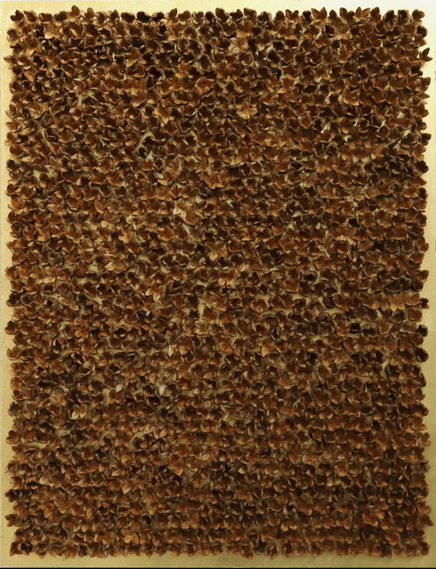 1220 beukenootjes - 2023
