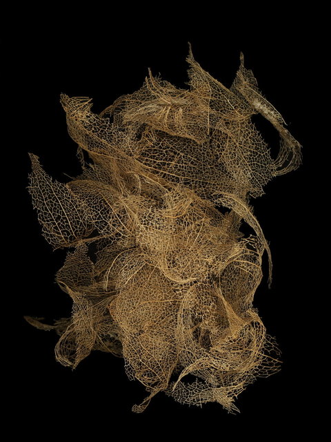 natuurarchitectuur 2023