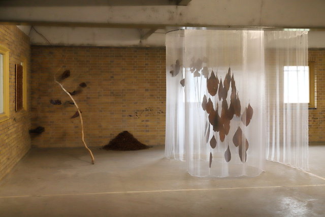 zwolle harculocentrale > ijsselbiënnale 2023 > installatie goud - visualsbynature