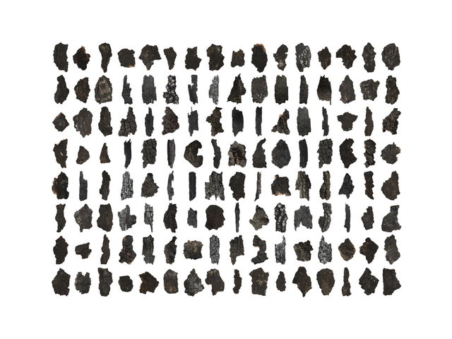 128 pieces of burned wood 2024