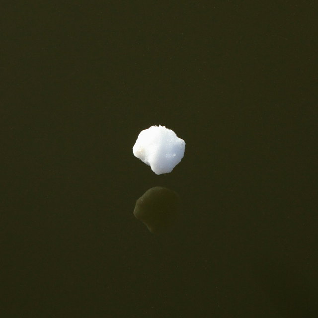  ijsselbiënnale 2017 - floating photography