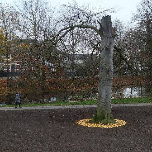deventer - rijsterborgherpark - 2020