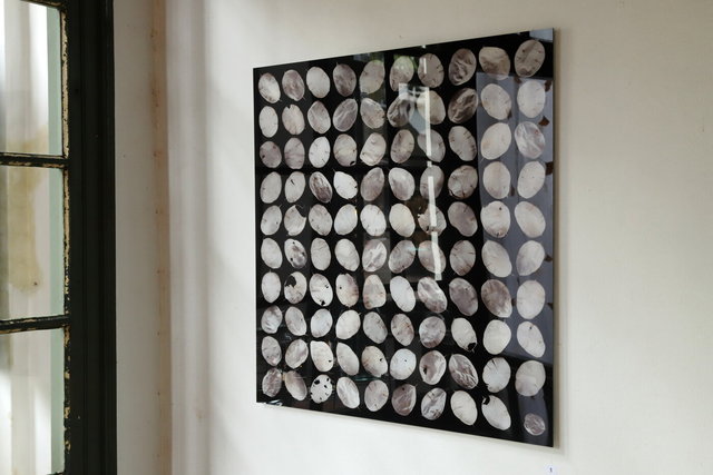 expositie 2022 visualsbynature - drie haringen deventer