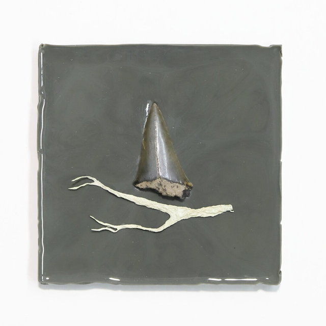 conserveren hard en zacht - 10x10cm - 2025