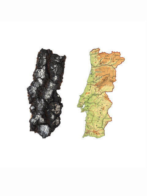 verbrand - land - portugal 2024