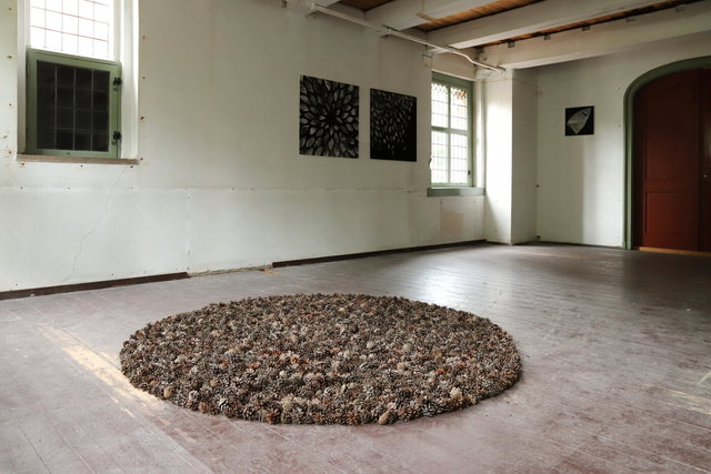 expositie 2022 visualsbynature - drie haringen deventer