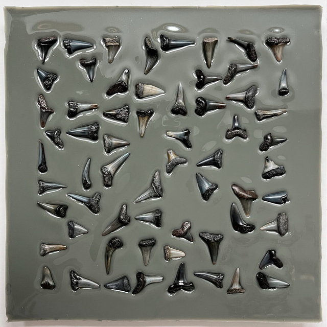 jawsart - preserving sharkteeth 3