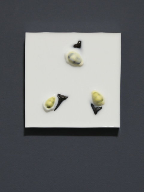 hard and soft 1 -10x10 cm - 2025