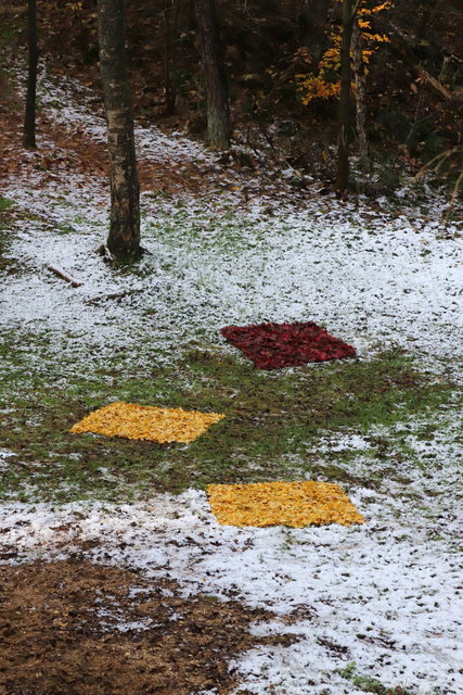 holten, sallandse heuvelrug 2024