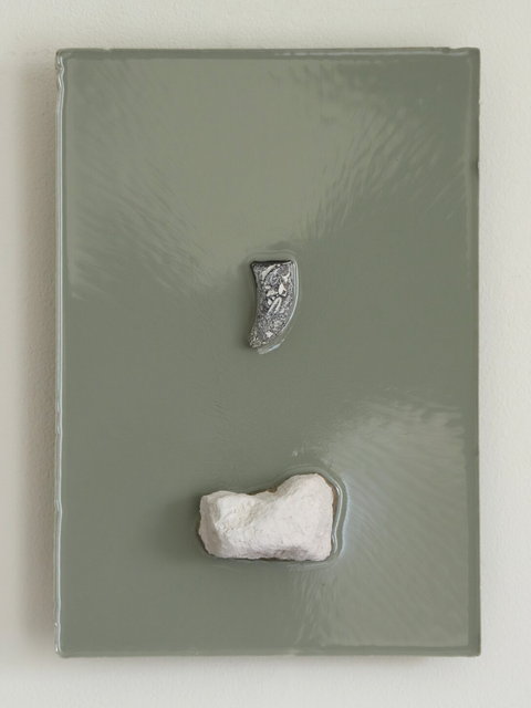 preserving fossil and chalk