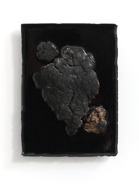 preserving burned wood - 20x30cm - 2025