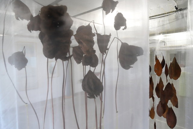 zwolle harculocentrale > ijsselbiënnale 2023 >installatie goud - visualsbynature