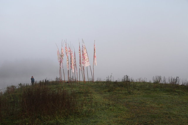 deventer ossenwaard > ijsselbiënnale 2021 > ijsselwind - visualsbynature