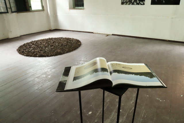 expositie 2022 visualsbynature - drie haringen deventer