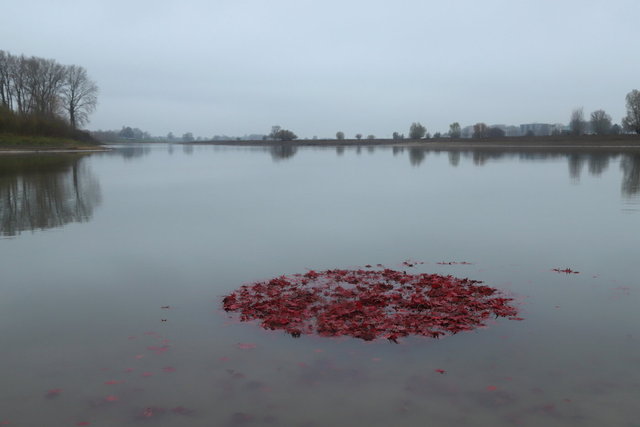 deventer - de ossenwaard 2020