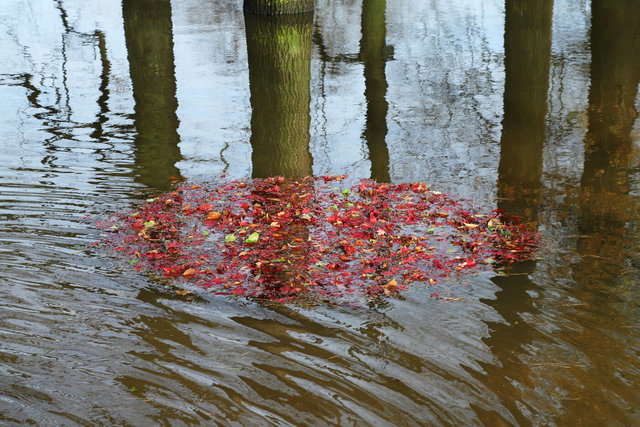 deventer worp park cirkel