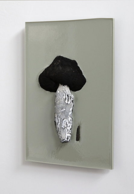 preserving fossils and burned wood - 20x30cm - 2025