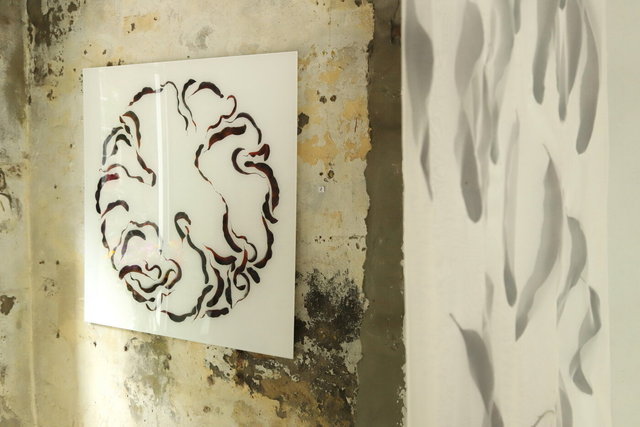 expositie 2022 visualsbynature - drie haringen deventer