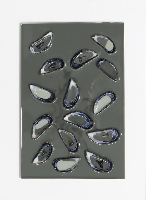 conserveren haaientanden 5 - 20x30 cm - 2025