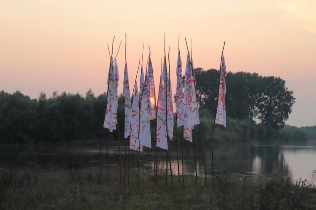 deventer ossenwaard > ijsselbiënnale 2021 > ijsselwind - visualsbynature