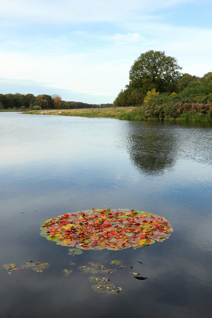 afscheid van de herfstIMG_6042.JPG