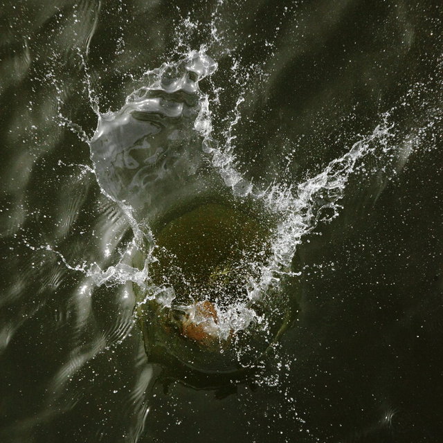 ijsselbiënnale 2017 - floating photography nr. 4