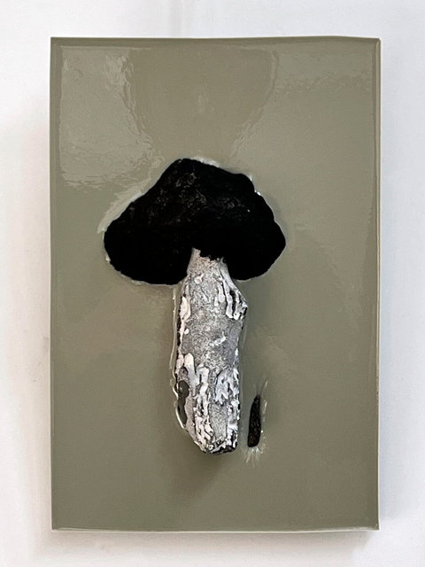 preserving fossils and burned wood