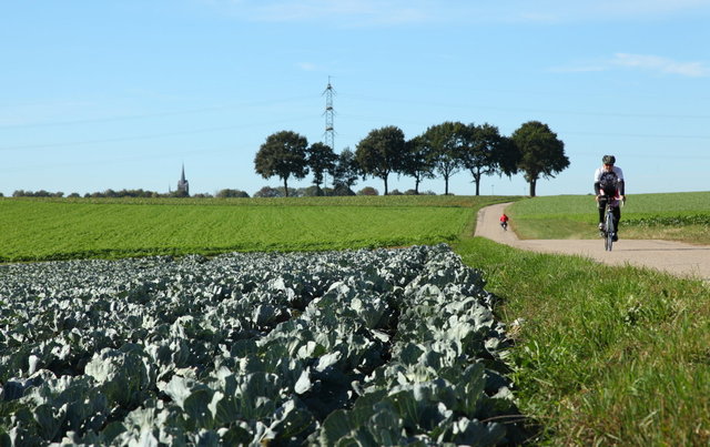 schimmert - gelders genootschap