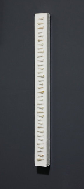 shells stick 2 - 70x6x3 cm - 2026