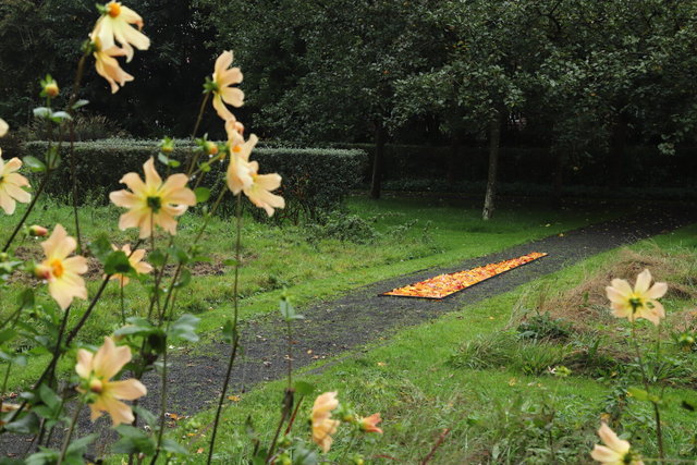 tuinen van mien ruys - herfstlijn