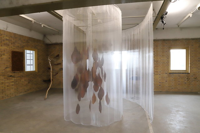 zwolle harculocentrale > ijsselbiënnale 2023 > installatie goud - visualsbynature