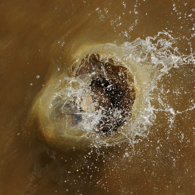  ijsselbiënnale 2017 - floating photography nr. 3