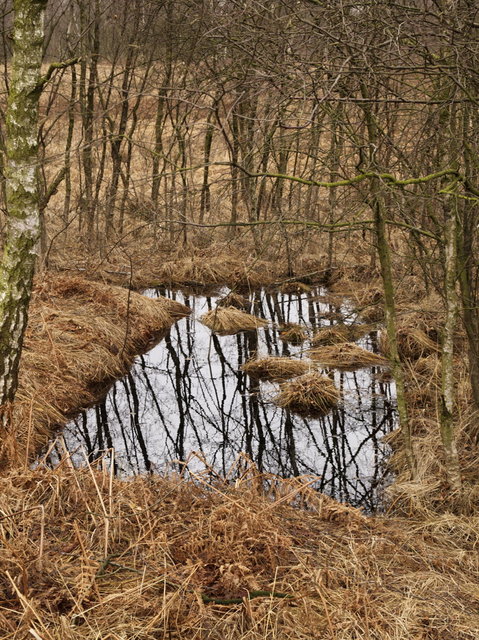 afgegraven veen