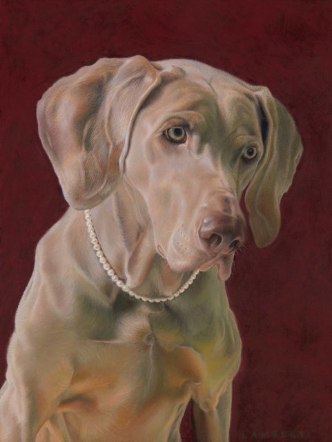 Chloé krijgt iets lekkers, 2020