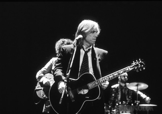 Tom Petty