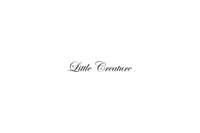 Little creature new tekst.jpg
