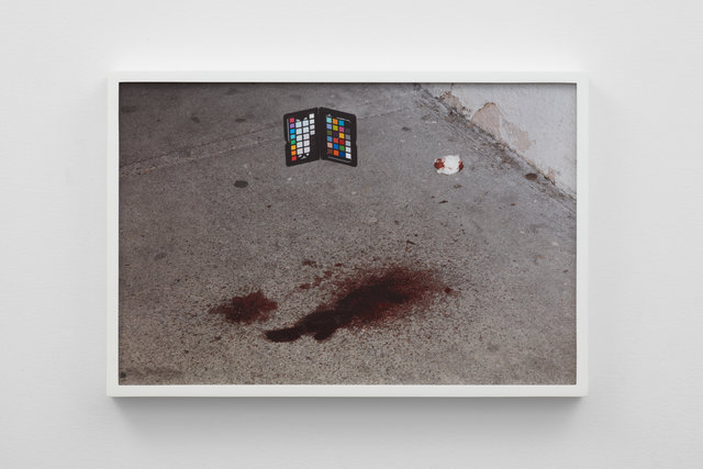 Genes Dispensary_Josh Schaedel_Background Layer_38046.jpeg