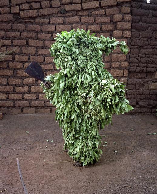 Leafs mask