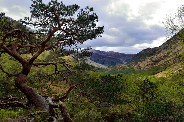 Vallée de Ben Nevis