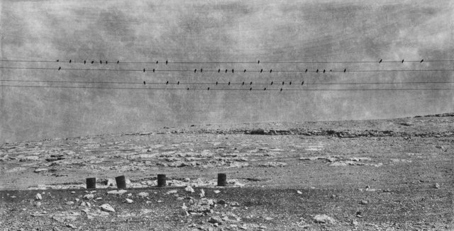 UNNAMED ROAD, 2011.jpg