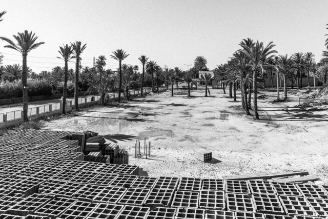 30-0003_Gabes Oasis-03.jpg